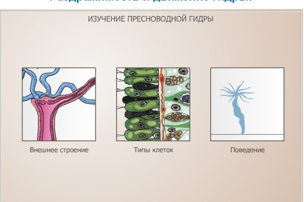 Кракен что можно купить