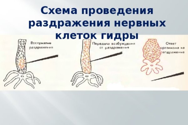 Как зарегистрироваться на сайте кракен